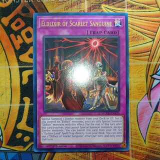 Eldlixir of Scarlet Sanguine (Gold Rare English)