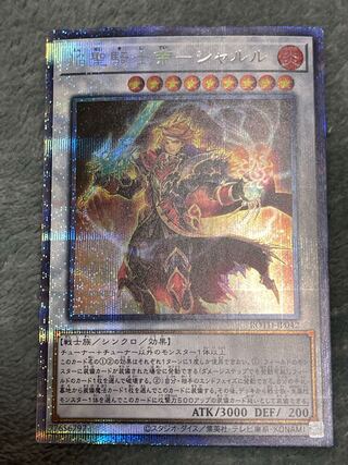 Flame Holy Knight Emperor-Charles Prismatic Secret Rare