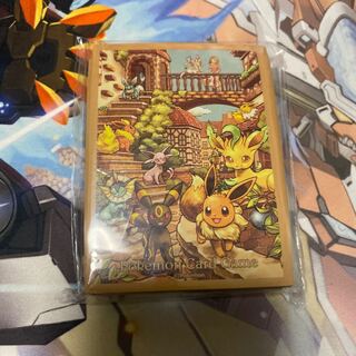 Eevee Sleeve Eevee Heroes