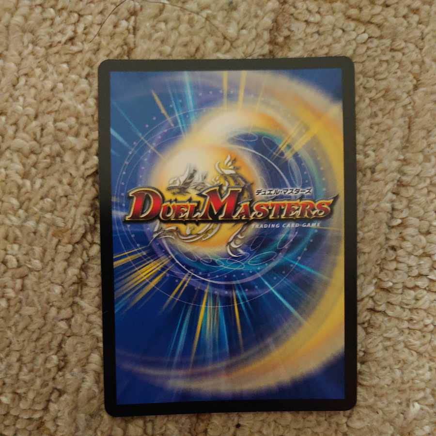 龍風混成 ザーディクリカ