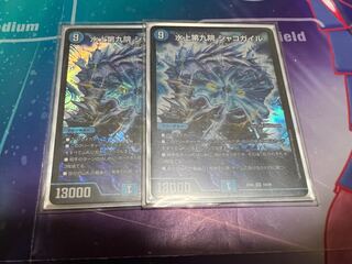 The Ninth House on Water Shako Gile