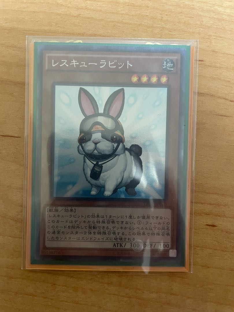 24-hour shipping] Rescue Rabbit