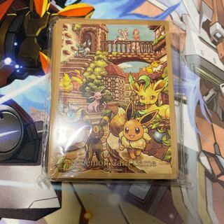 Eevee Sleeve Eevee Heroes