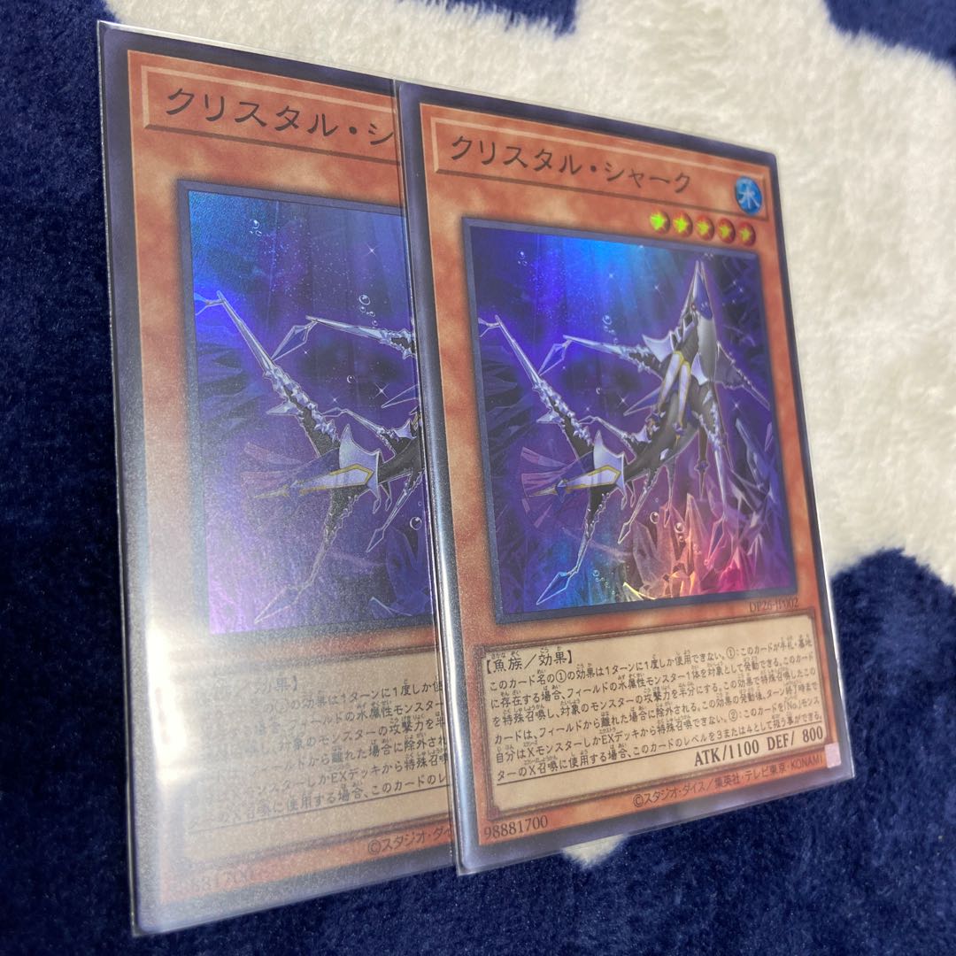 Squirrel Shark Super Rare