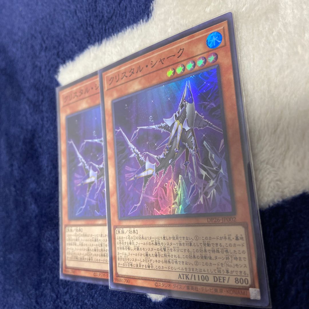 Squirrel Shark Super Rare