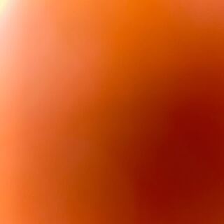 ガバルドンさん専用