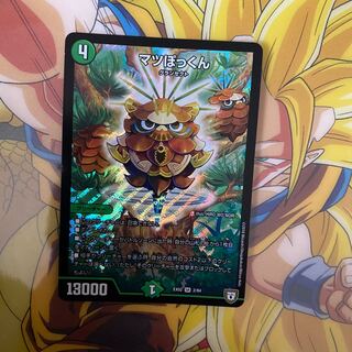 Japanese pine (Pinus densiflora)