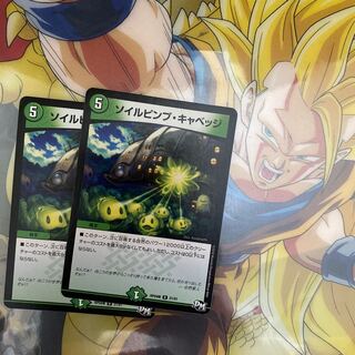 Soil Pimp Cabbage R 21/61