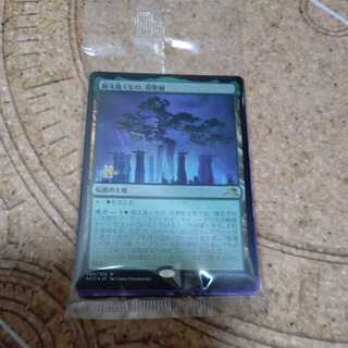 foil, that which endures, mother holy tree