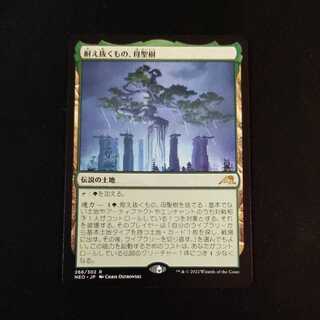 [Bulk Discounts] What Endures, Mother Holy Tree