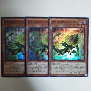 Yu-Gi-Oh Predaplant Chlamydosundew Super Rare