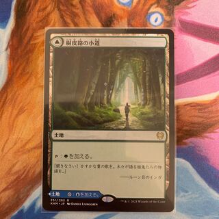 樹皮路の小道　日本語