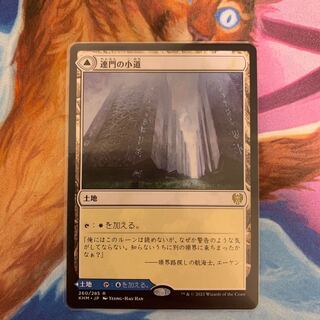 Hengegate Pathway Japanese