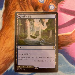 Clearwater Pathway Japanese