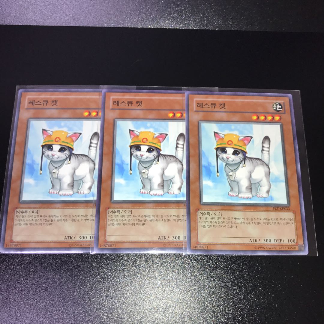 [Beautiful set of 3] Rescue Cat [Genuine outside Umi].