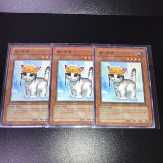[Beautiful set of 3] Rescue Cat [Genuine outside Umi].