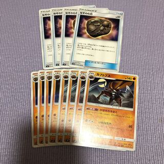 なぞの化石 カブト カブトプス