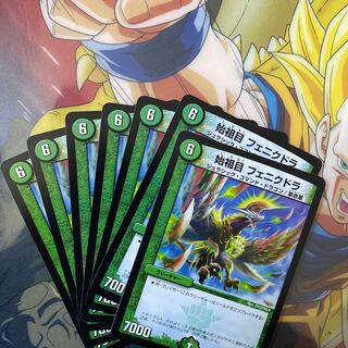 First Order Phenicula