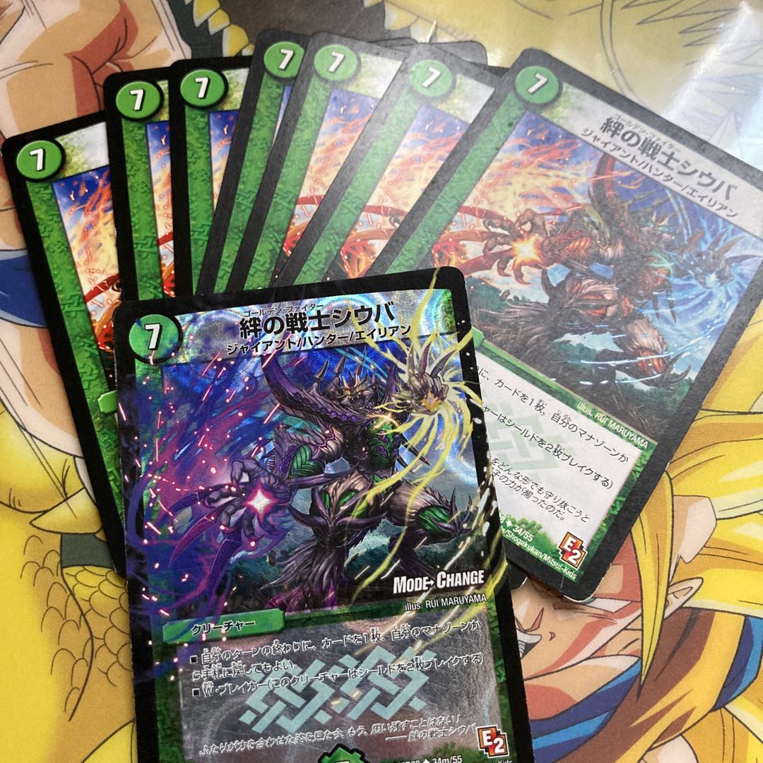 Shiba, the warrior of the bond