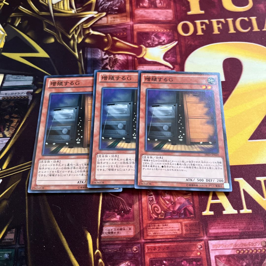 Maxx "C", normal, 3 pieces.