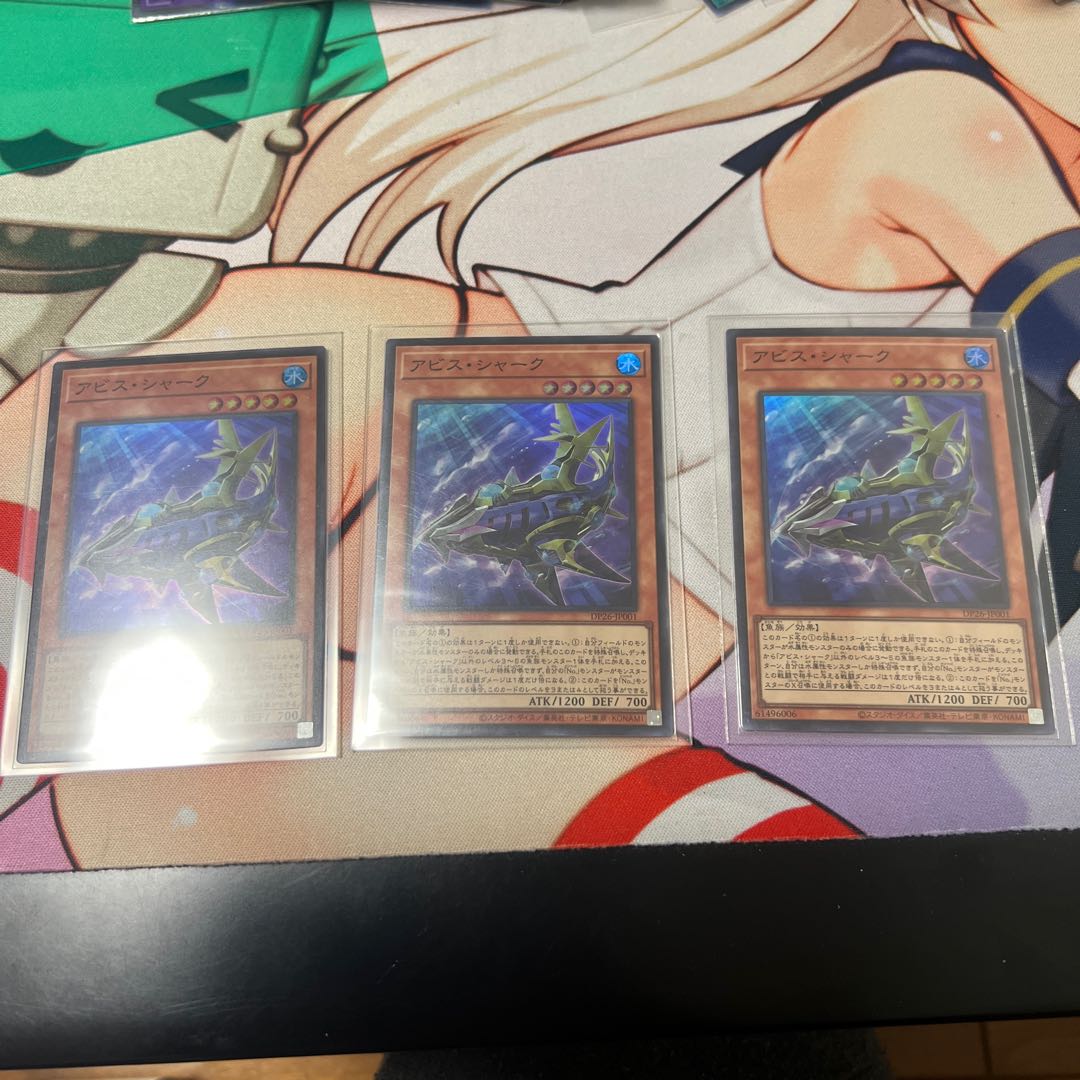 abyss shark (Carcharhinus plumbeus, a species of requiem shark)