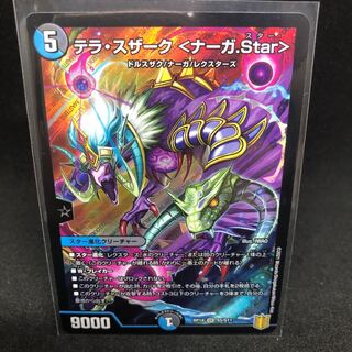 This is for the exclusive use of Honey Job! Terra Suzaku <Serpentine Princess.Star> SR