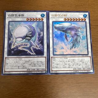 White Aura Whale Ultra Rare White Aura Dolphin