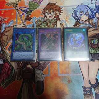 補食植物ヴェルテアナコンダ 超魔導師竜騎士ドラグーンオブレッドアイズ 円融魔術