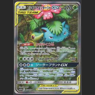 Venusaur & SnivyGX [Near] SR SA /Management:MP0473