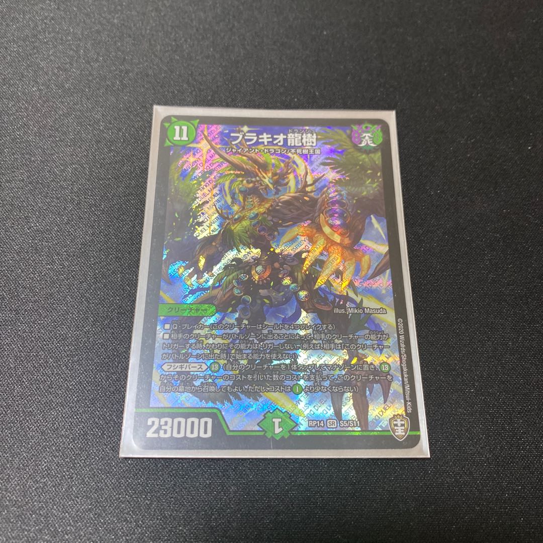 Dedicated to Mr. Aange] Brachio Ryuki