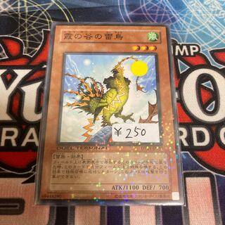 Mist Valley Thunderbird Normal 1 piece DT Bargain Item