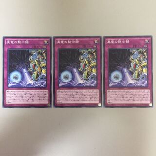 真竜の黙示録 2