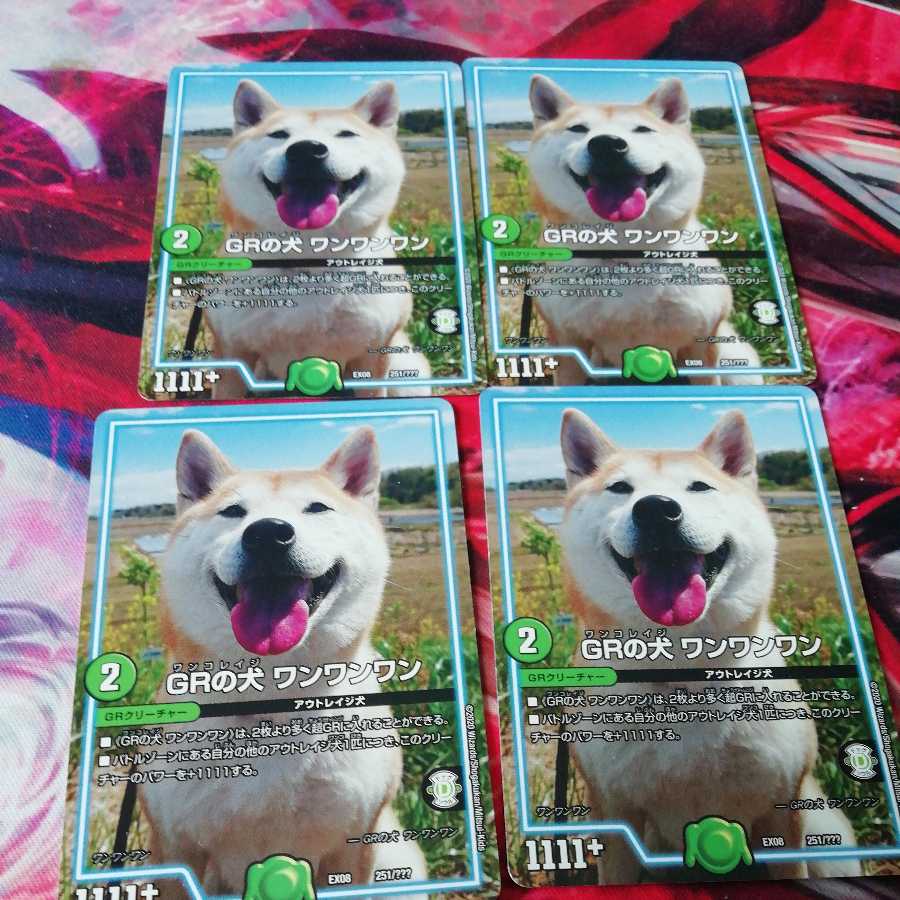 GRの犬 ワンワンワン