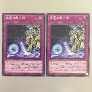 真竜の黙示録 4