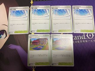 4 sheets of snow road to the top, 2 sheets of Training Court, total 6 sheets set