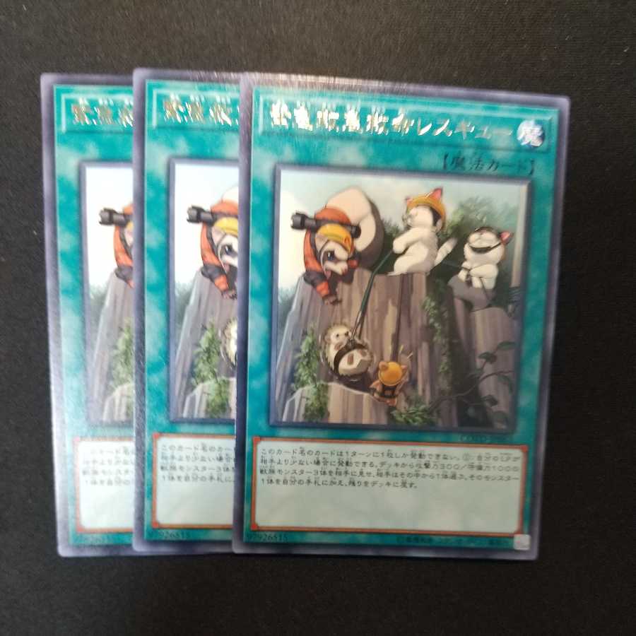 Emerging Emergency Rescute Rescue Rare