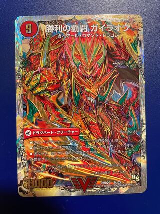 Supreme Fighting Shogun Gaiou Burn｜Victorious Supreme Fighting Gaiou