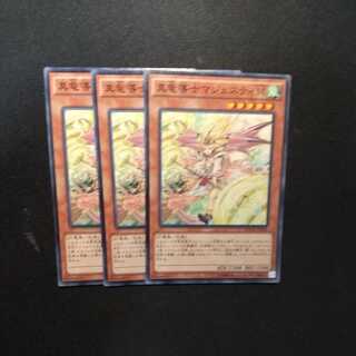 Majesty Maiden, the True Dracocaster Normal