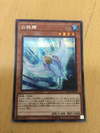 Ho Wight Hinotama Soul Ray Secret