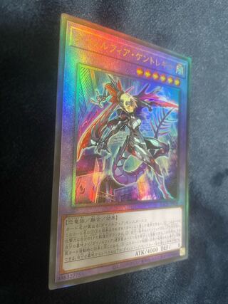 Dynorphia Kentregina Ultimate Rare