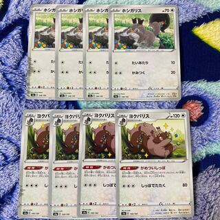 ホシガリス　ヨクバリス