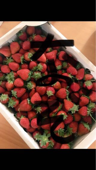 Mysterious Kusa bag (3) for Mr. Sabu