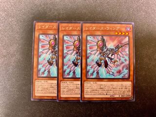 Raider's Wing Rare 3 handsome handsome handsome handsome handsome