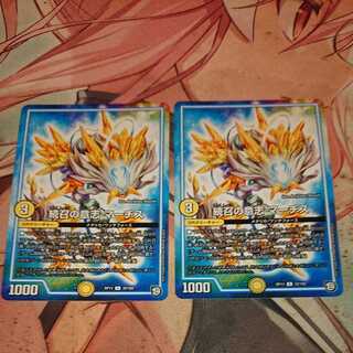 The Will to Continue: Marches