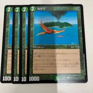 [Beautiful] Birds of Paradise 4-Piece Set