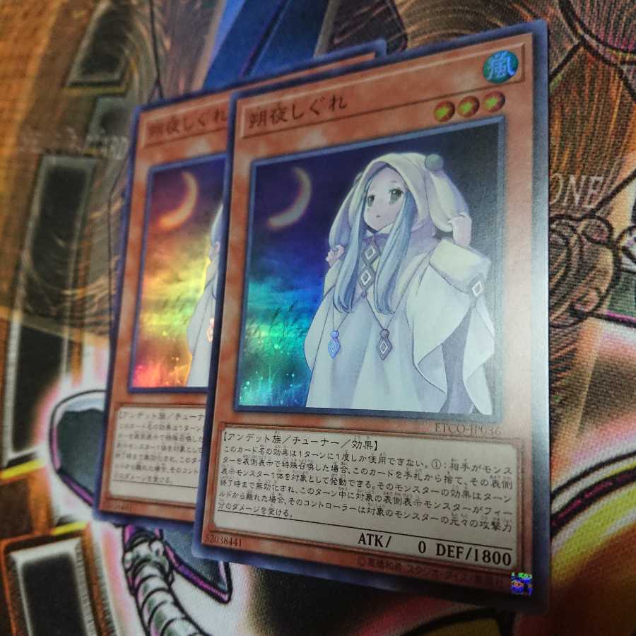 朔夜しぐれ アジア