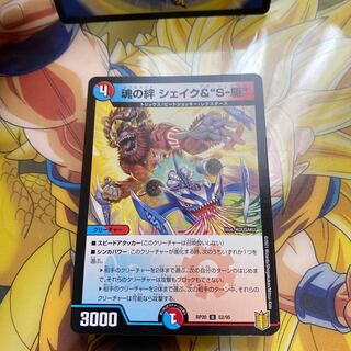 40枚セット　シェイク2