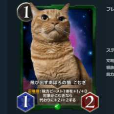 2枚セット 飛び出すあぽろの猫 こむぎ