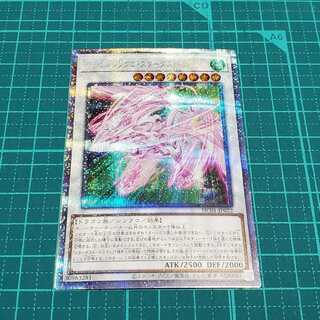 Accel Synchro Stardust Dragon (Prisik)