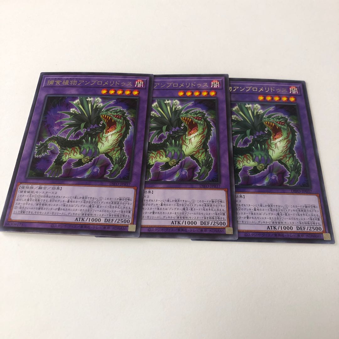 Prey Upon plant ambromeridus rare